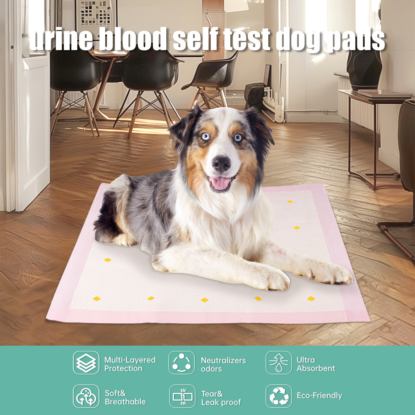 Dog Health Monitoring Pee Pads – Color-Changing Urine Detection Training Pads